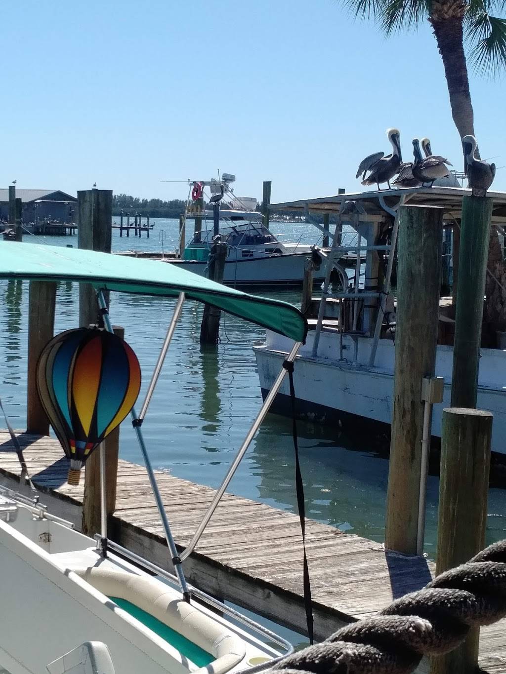 Star Fish Company | restaurant | 12306 46th Ave W, Cortez, FL 34215, USA | 9417941243 OR +1 941-794-1243