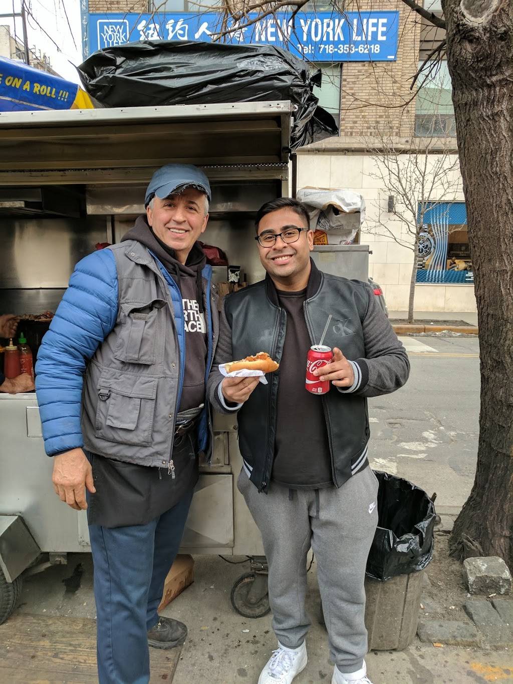 Nick Souvlaki Food Cart | restaurant | Flushing, NY 11354, USA | 5163762509 OR +1 516-376-2509