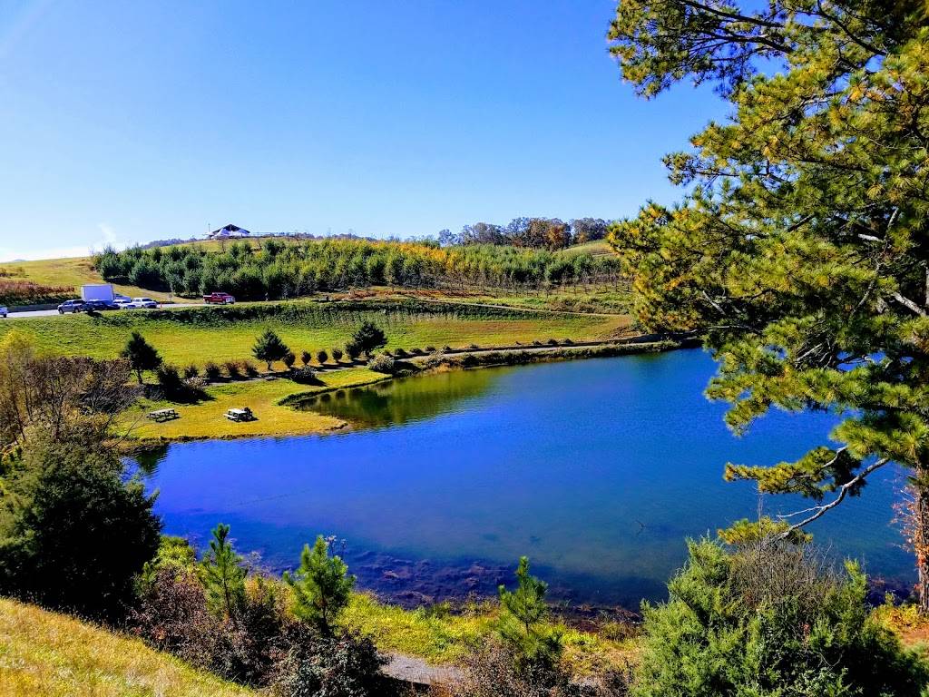 Mercier Orchards | bakery | 8660 Blue Ridge Dr, Blue Ridge, GA 30513, USA | 7066323411 OR +1 706-632-3411