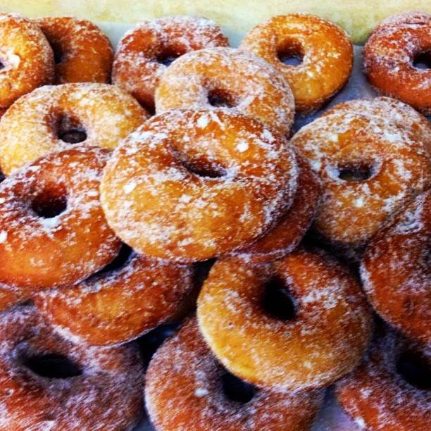 Sundance Deli | restaurant | 37 Wheeler Ave, Pleasantville, NY 10570, USA | 9147474601 OR +1 914-747-4601