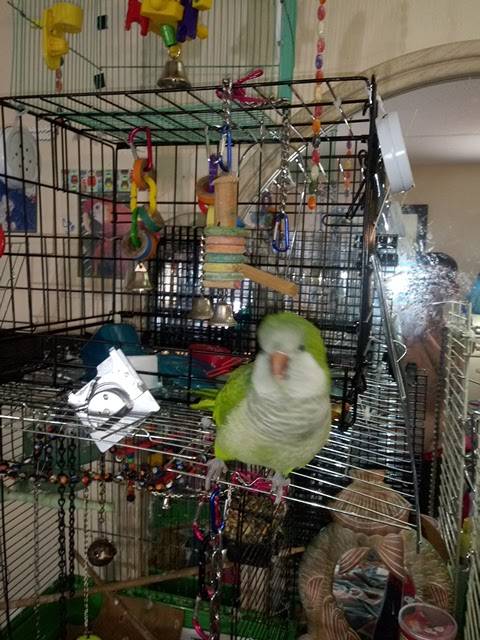 Hook Fish & Chicken | restaurant | 5701 N Australian Ave, Riviera Beach, FL 33407, USA | 5618556385 OR +1 561-855-6385