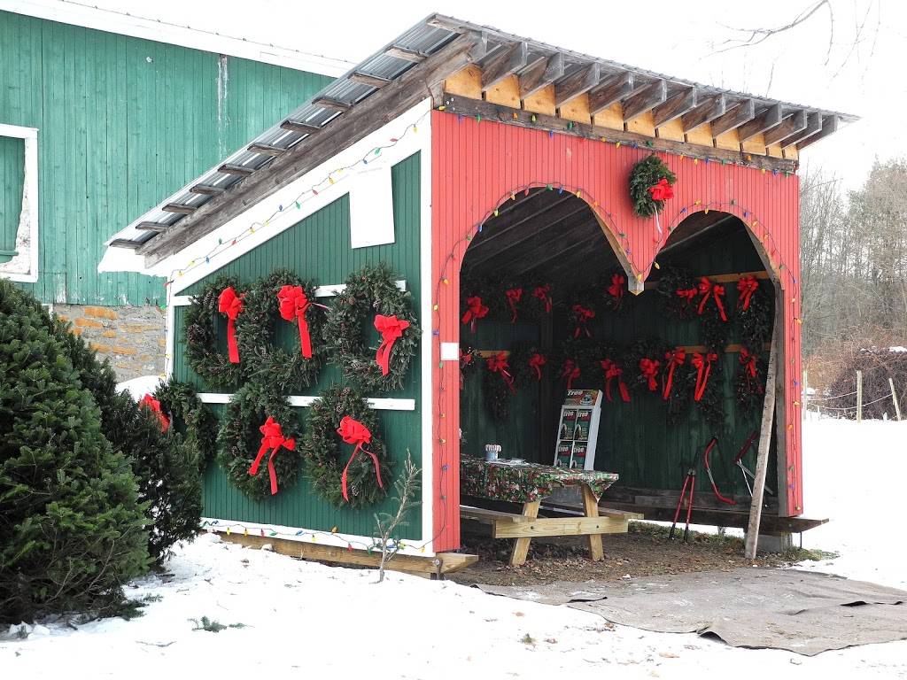 Kringle Christmas Tree Farm | restaurant | 9298 NY-46, Westernville, NY 13486, USA | 3158274534 OR +1 315-827-4534