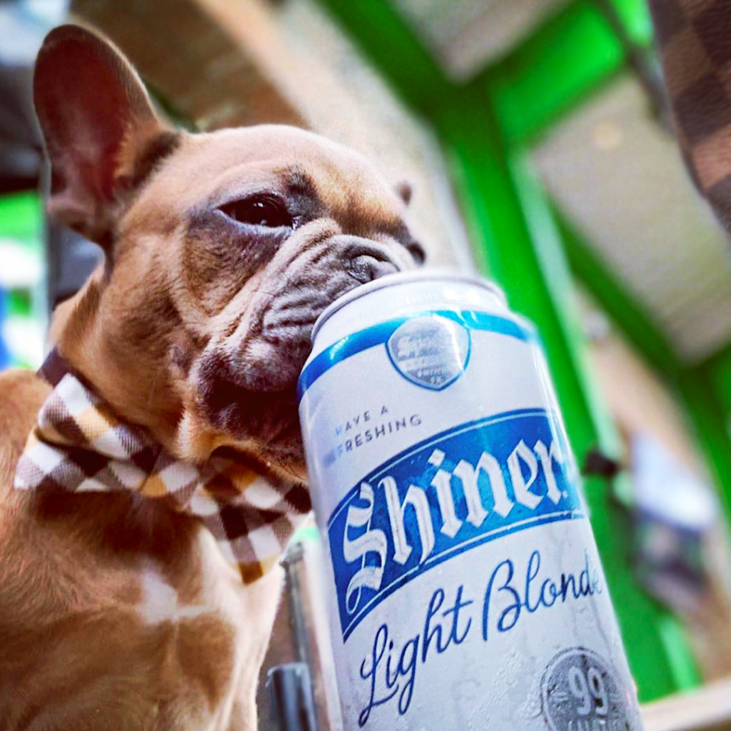 Backyard | restaurant | 505 N Good Latimer Expy, Dallas, TX 75204, USA | 4692500873 OR +1 469-250-0873