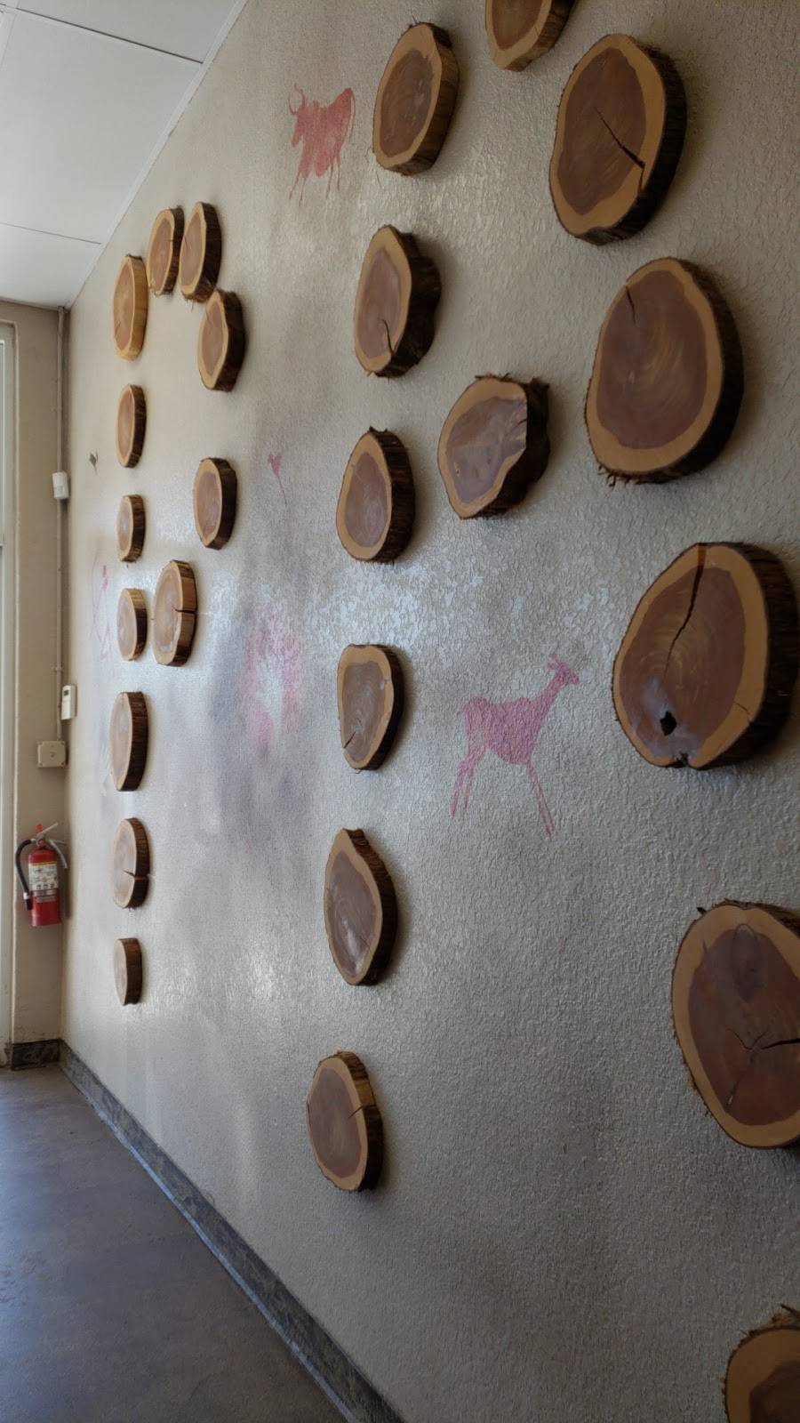 Paleo Connection | restaurant | 3515 N Lockwood Ridge Rd, Sarasota, FL 34234, USA | 9419601955 OR +1 941-960-1955