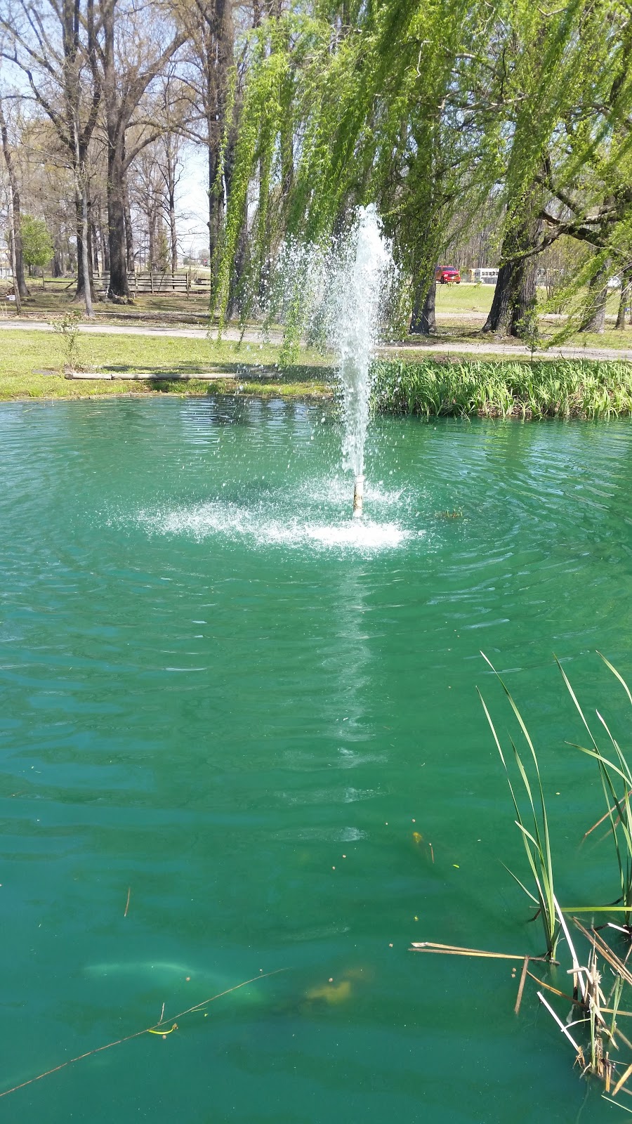 Huckleberrys Catfish Buffet | restaurant | 2613 Eastline Rd, Searcy, AR 72143, USA | 5012680194 OR +1 501-268-0194