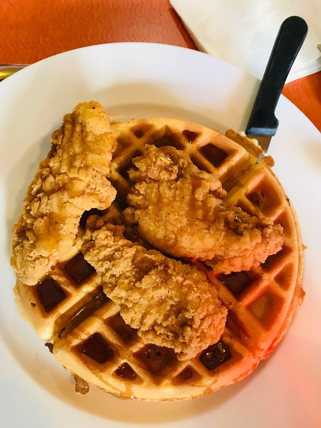 Tiffanys | restaurant | 35000 US Hwy 19 N, Palm Harbor, FL 34684, USA | 7277859530 OR +1 727-785-9530