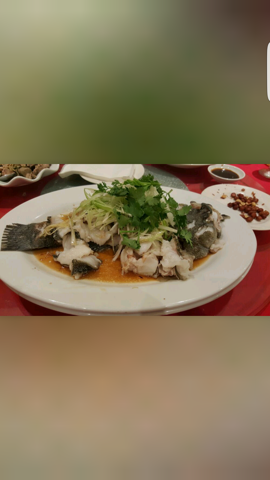 Wus Wonton King | restaurant | 165 E Broadway, New York, NY 10002, USA | 2124771111 OR +1 212-477-1111