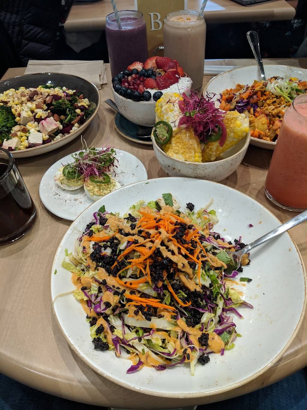 Life Alive Organic Cafe | restaurant | 888 Commonwealth Avenue, Boston, MA 02215, USA | 6179033256 OR +1 617-903-3256