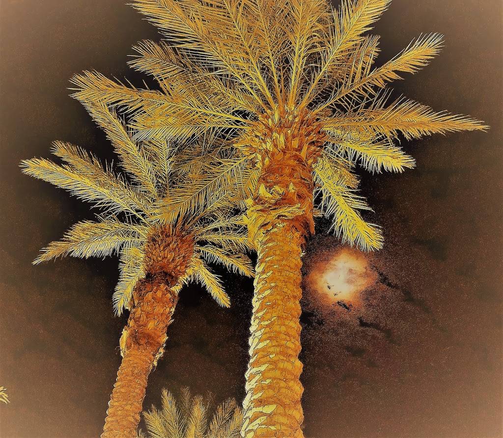 Seasons Grill | restaurant | 1603, 71777 Dinah Shore Dr, Rancho Mirage, CA 92270, USA | 7602026298 OR +1 760-202-6298