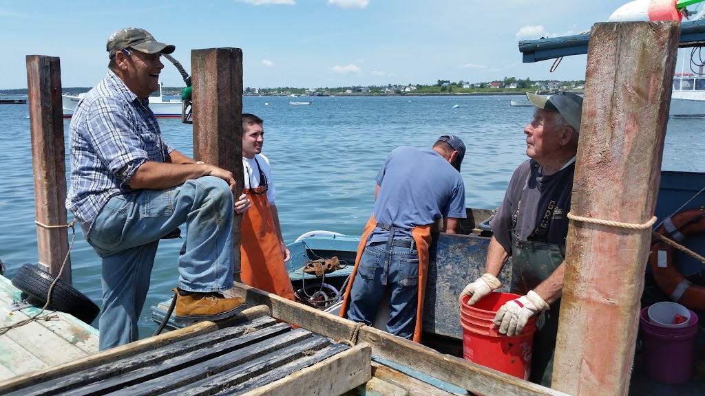 Barneys Cove Lobster Co | restaurant | 7 Wharf Rd, Beals, ME 04611, USA | 2074972244 OR +1 207-497-2244