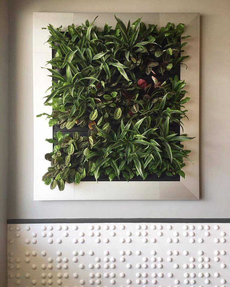 Fresh Kitchen | cafe | 2204 NJ-35, Sea Girt, NJ 08750, USA | 7327698133 OR +1 732-769-8133