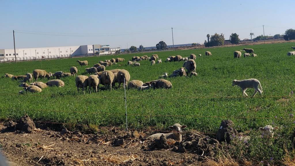 Old River Golf Course | restaurant | 18007 Mac Arthur Dr, Tracy, CA 95304, USA | 2098308585 OR +1 209-830-8585