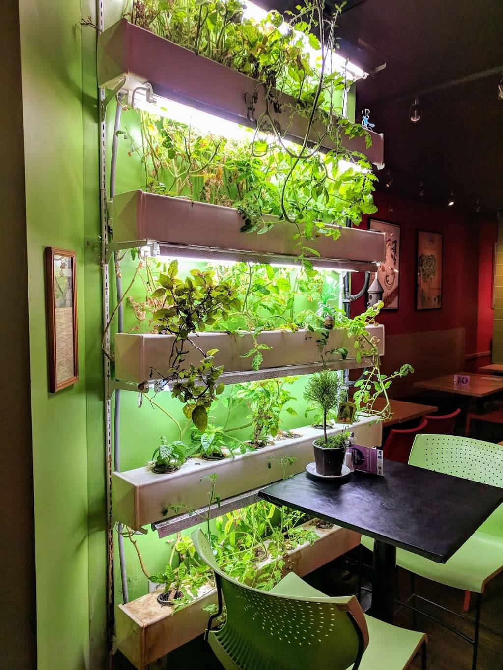 Silvios Organic Ristorante e Pizzeria | restaurant | 715 N University Ave, Ann Arbor, MI 48104, USA | 7342146666 OR +1 734-214-6666