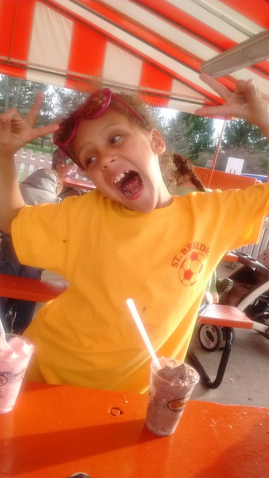 Nettys | restaurant | 4672 Monroe St, Toledo, OH 43623, USA | 4194738524 OR +1 419-473-8524