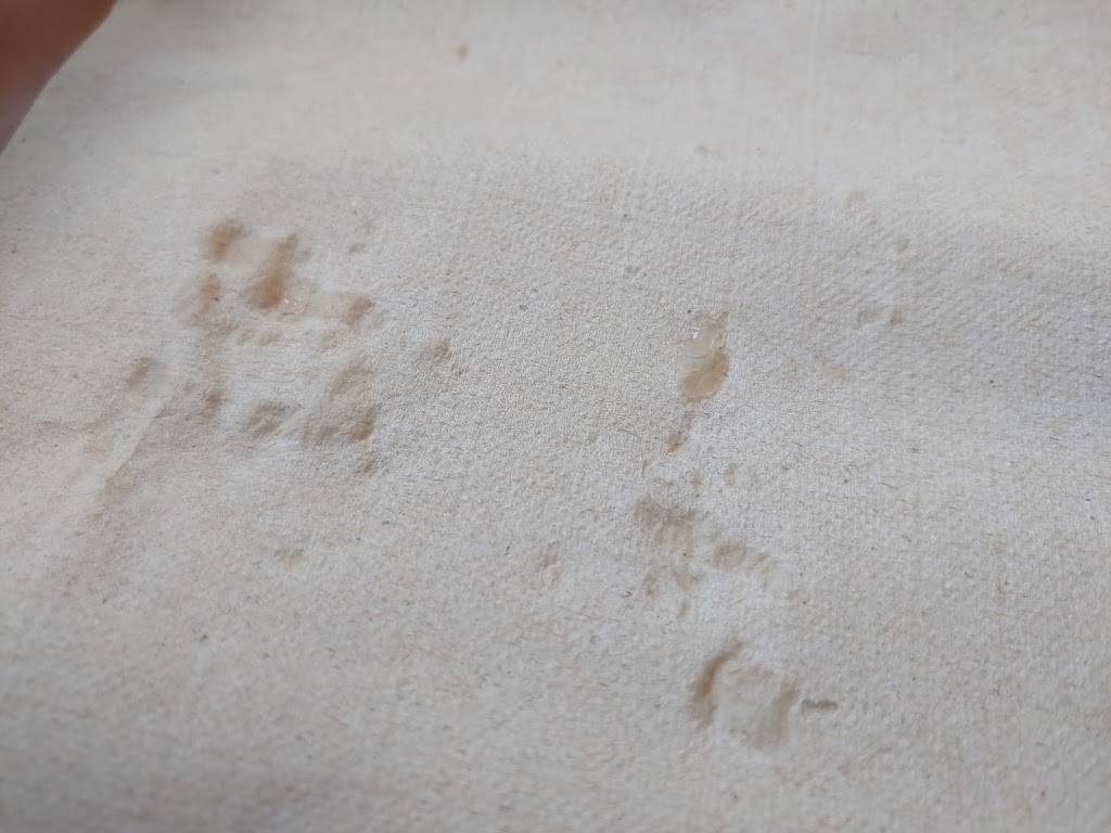 Subway | restaurant | 20 Bathurst St Unit 13, Toronto, ON M5V 2N9, Canada | 6477487707 OR +1 647-748-7707