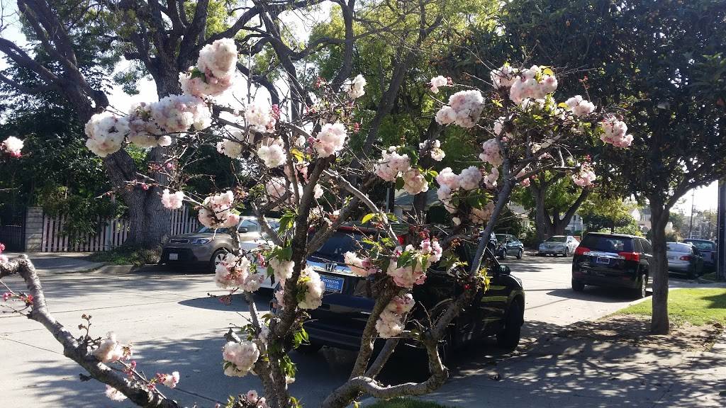 Presto Deli | restaurant | 1849 Sawtelle Blvd, Los Angeles, CA 90025, USA | 4242728847 OR +1 424-272-8847