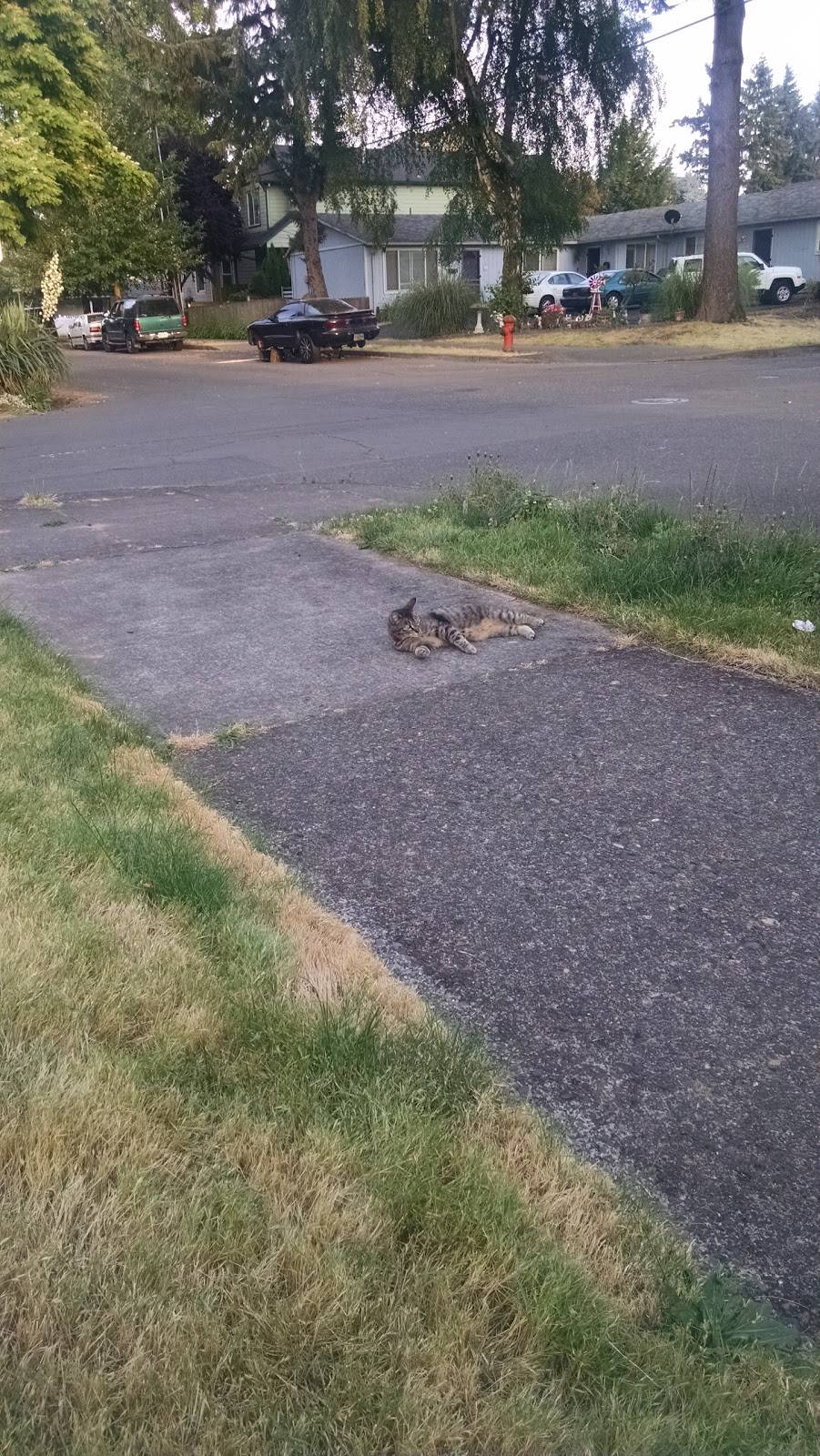 Shell | restaurant | 6820 N Fessenden St, Portland, OR 97203, USA | 5032860835 OR +1 503-286-0835