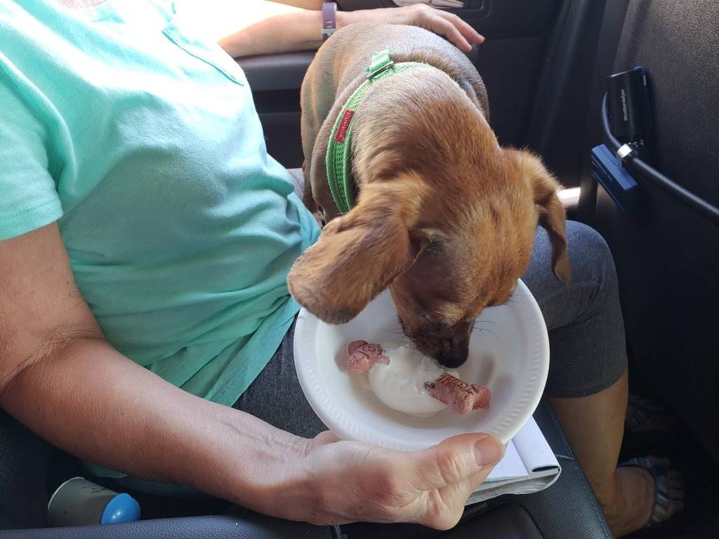 Dairy Queen | restaurant | 3359 US Hwy 27 S, Sebring, FL 33870, USA | 8633820477 OR +1 863-382-0477