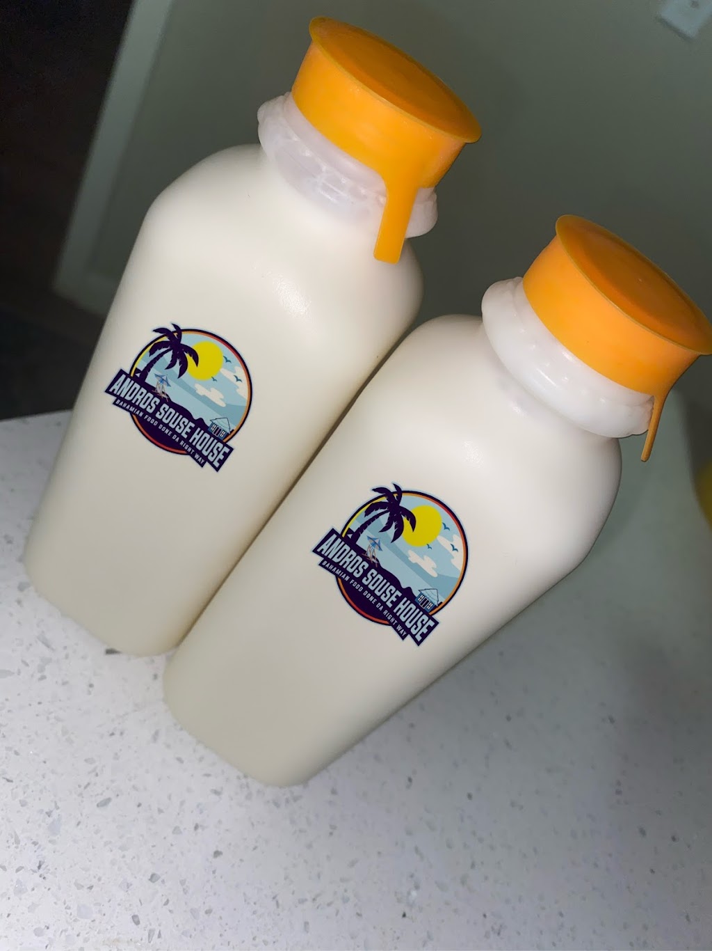 Andros Souse House | restaurant | 1620 W State Rd 84, Fort Lauderdale, FL 33315, USA | 7542136214 OR +1 754-213-6214