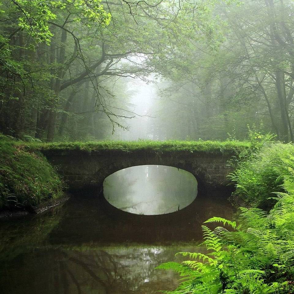 M.C.s Country Cafe | cafe | 756 US-30, Carroll, IA 51401, USA | 7127926331 OR +1 712-792-6331