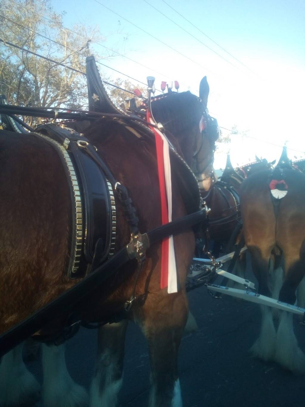 Vals Sports Bar & Grill | restaurant | 1600 Government St, Ocean Springs, MS 39564, USA | 2283279210 OR +1 228-327-9210