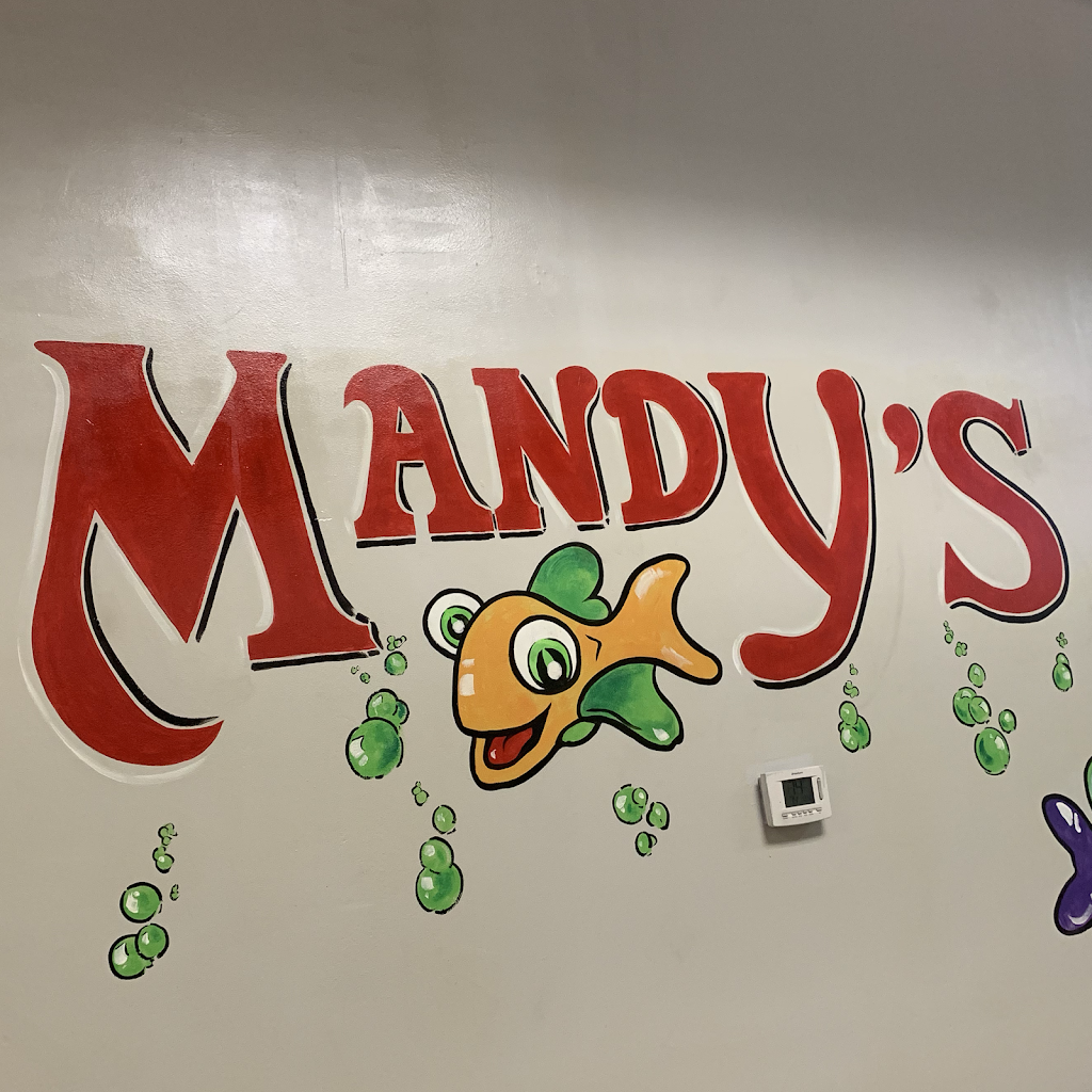 Mandys Fish & Chips | restaurant | 6202 S 16th St, Phoenix, AZ 85042, USA | 6022760511 OR +1 602-276-0511