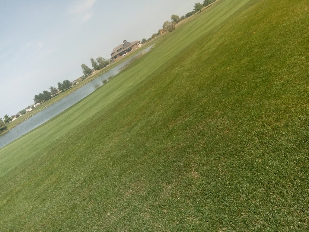 Atkins Golf Club at the University of Illinois | restaurant | 2560 S Stone Creek Blvd, Urbana, IL 61802, USA | 2174818150 OR +1 217-481-8150