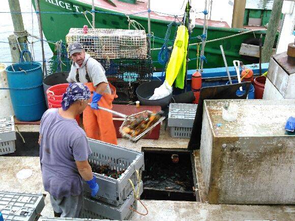 Liberty Lobster | restaurant | 35 Homers Wharf, New Bedford, MA 02740, USA | 5089974500 OR +1 508-997-4500