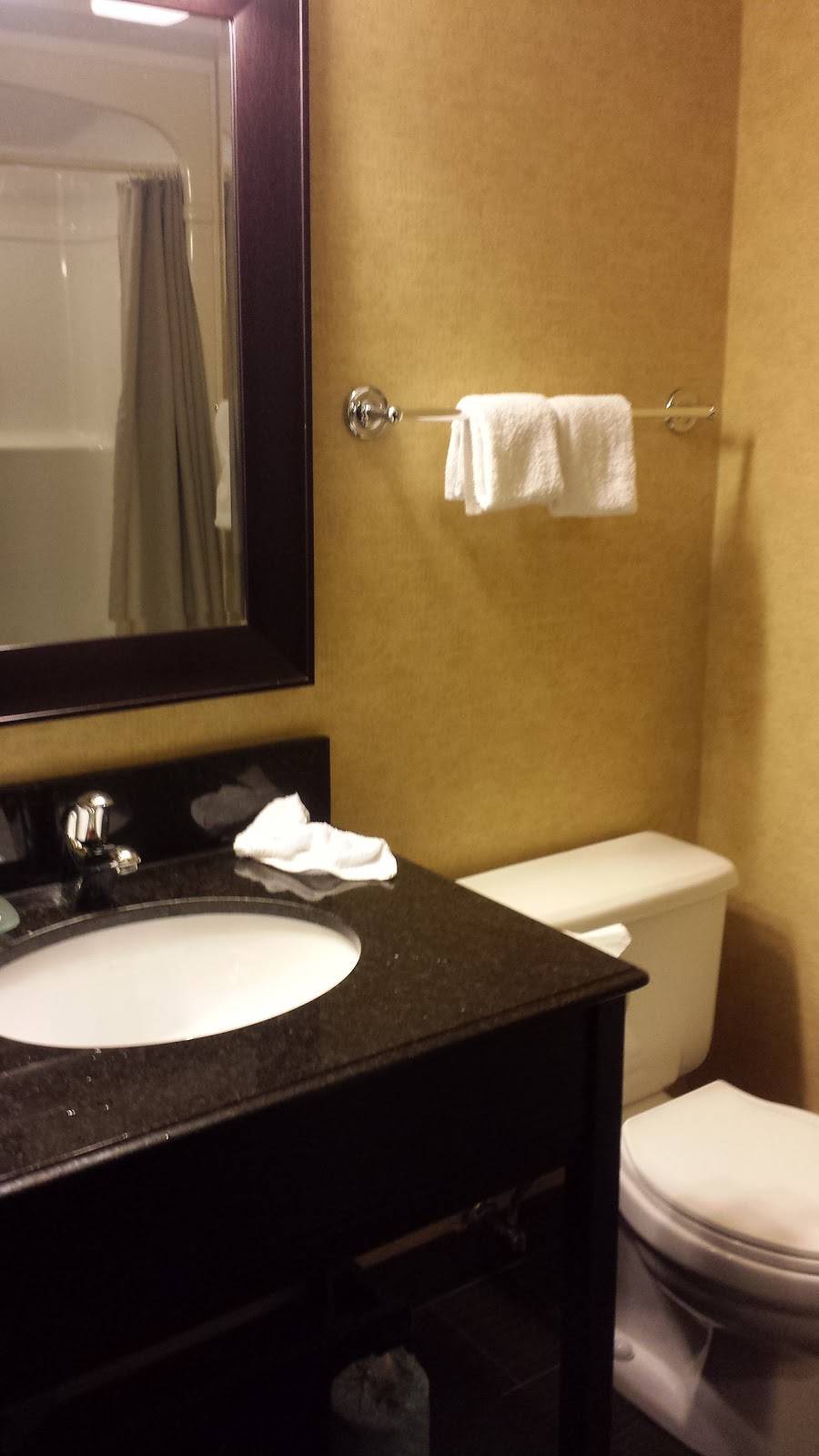 Americana Conference Resort Spa & Waterpark | restaurant | 8444 Lundys Ln, Niagara Falls, ON L2H 1H4, Canada | 9053568444 OR +1 905-356-8444