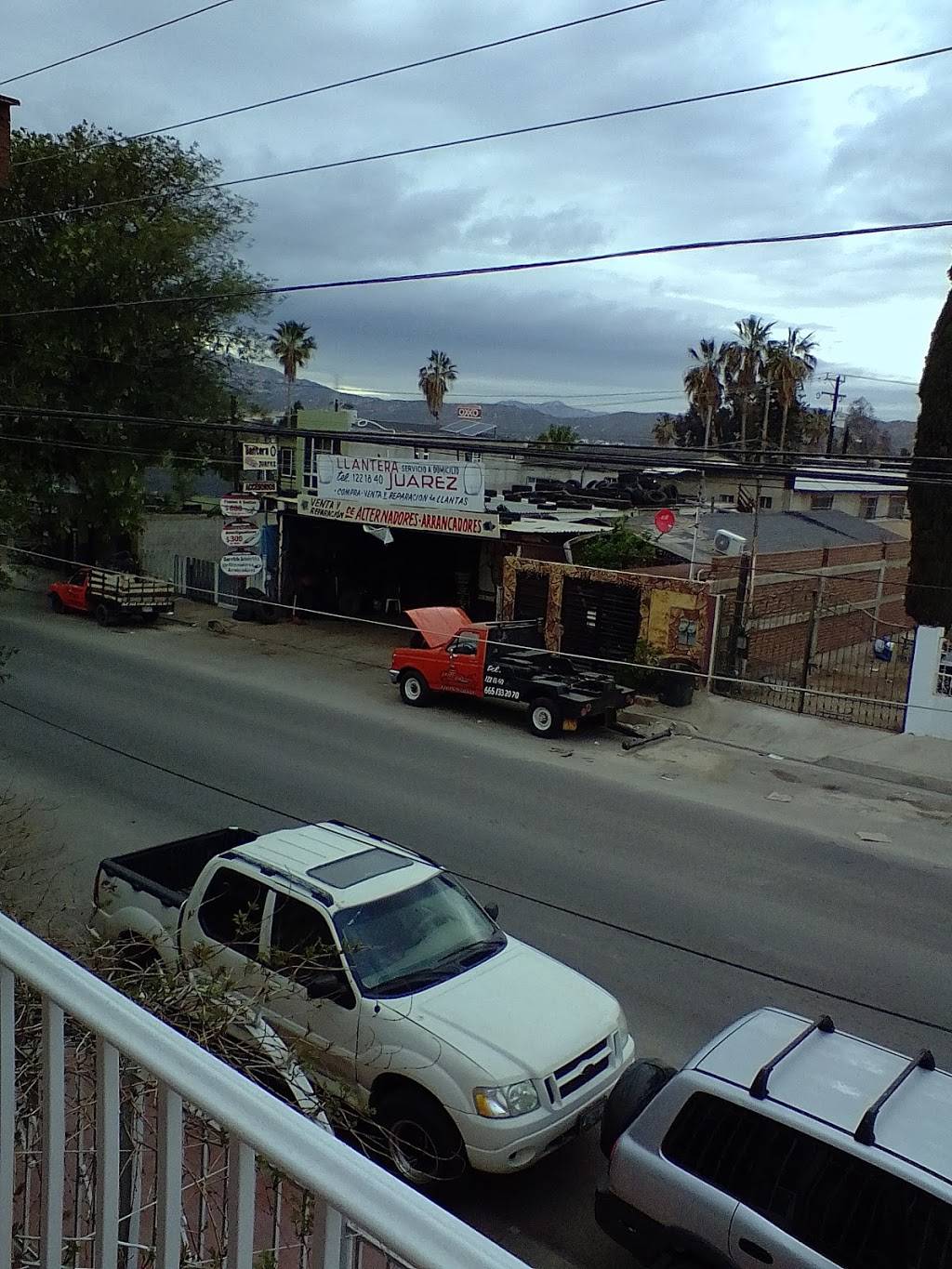 Carnitas La Enrramada | restaurant | 21480, Calle Quinta 70, Benito Juárez, 21480 Tecate, B.C., Mexico | 016653930018 OR +52 665 393 0018