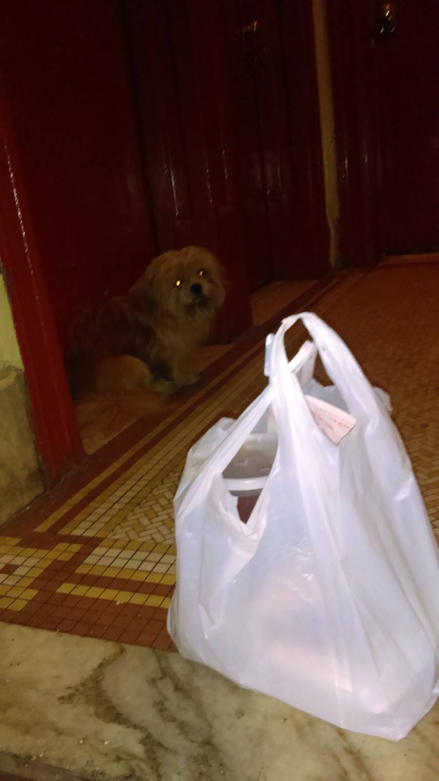 Happy Garden | restaurant | 277 E Kingsbridge Rd, Bronx, NY 10458, USA | 7182955588 OR +1 718-295-5588