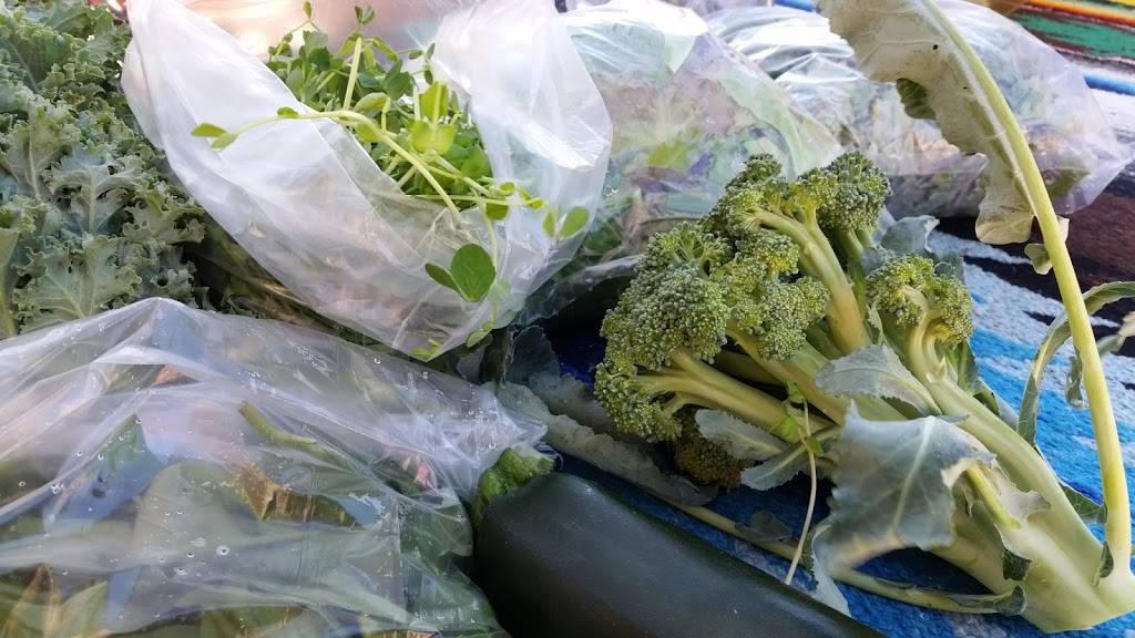 Jamestown Mercantile | restaurant | 108 Main St, Jamestown, CO 80455, USA | 3034425847 OR +1 303-442-5847