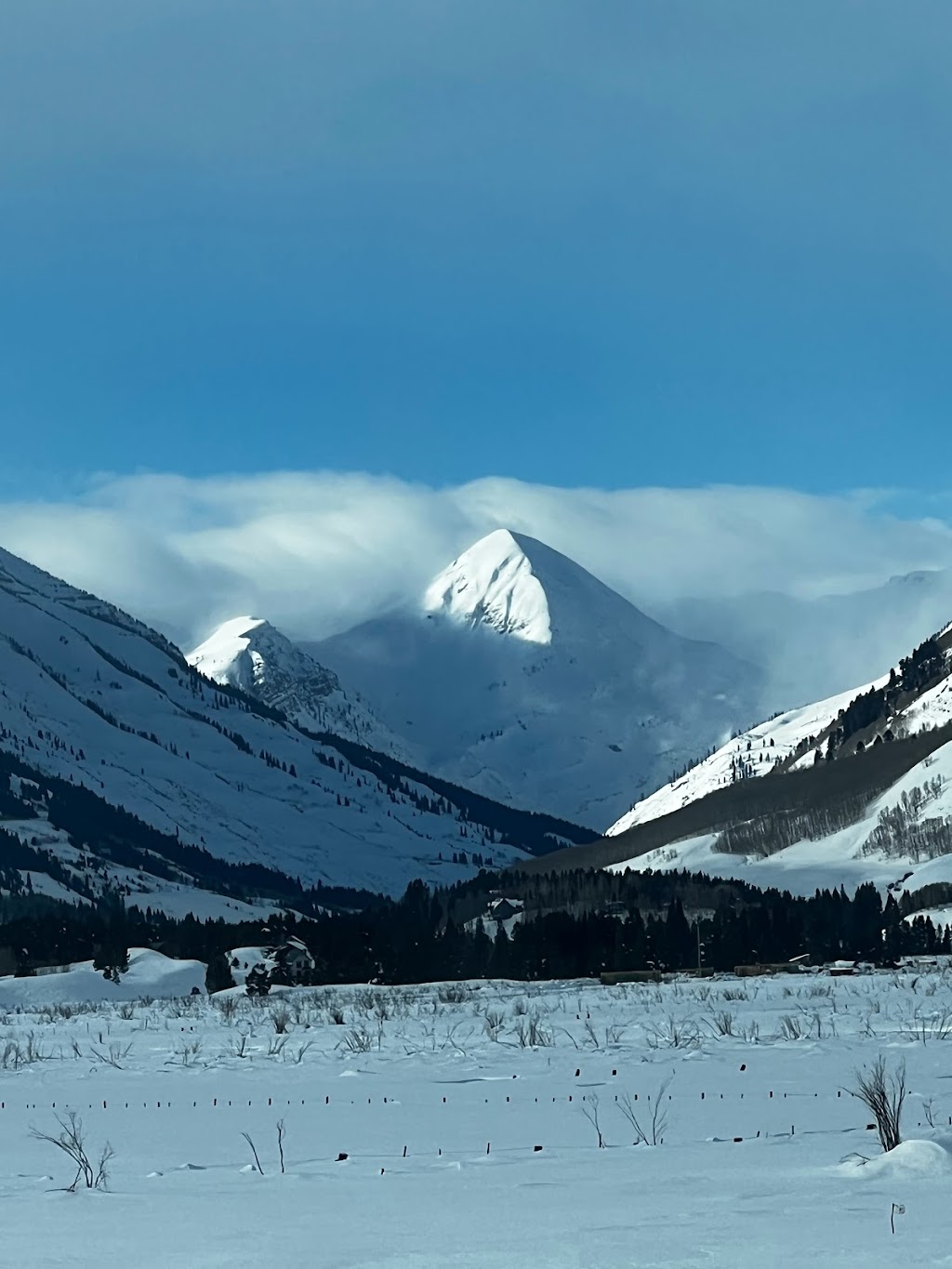 The Ice Bar at Uleys Cabin | restaurant | At the bottom of the run "peanut" off of the Red Lady lift, Crested Butte, CO 81225, USA | 9703492275 OR +1 970-349-2275
