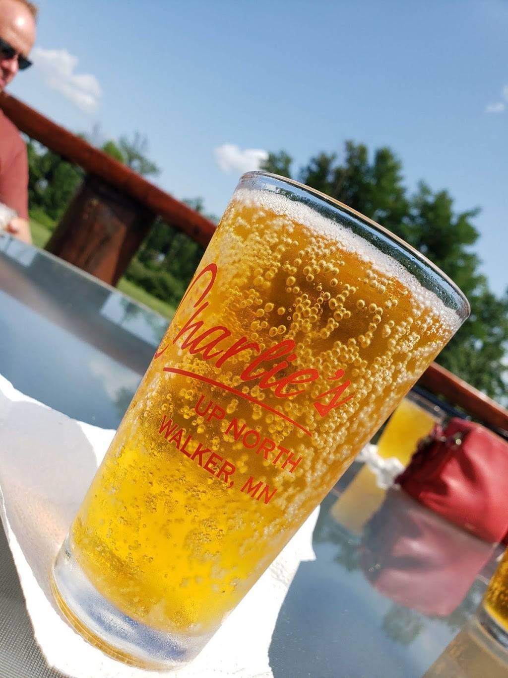 Charlies Up North Inc. | restaurant | 6841 Hwy 371 Nw, Walker, MN 56484, USA | 2185470222 OR +1 218-547-0222