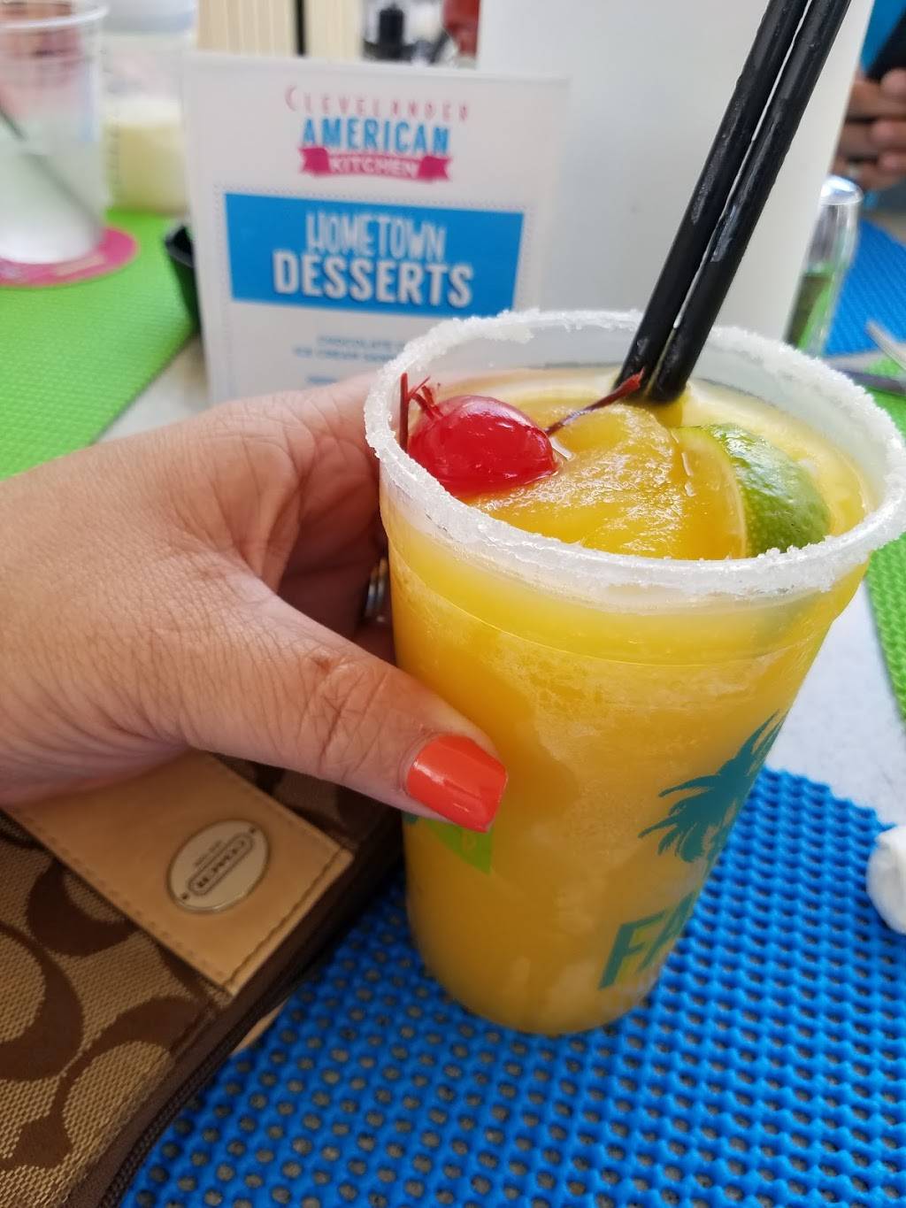 The Clevelander Bar | night club | 1020 Ocean Dr #1, Miami Beach, FL 33139, USA | 3055324006 OR +1 305-532-4006