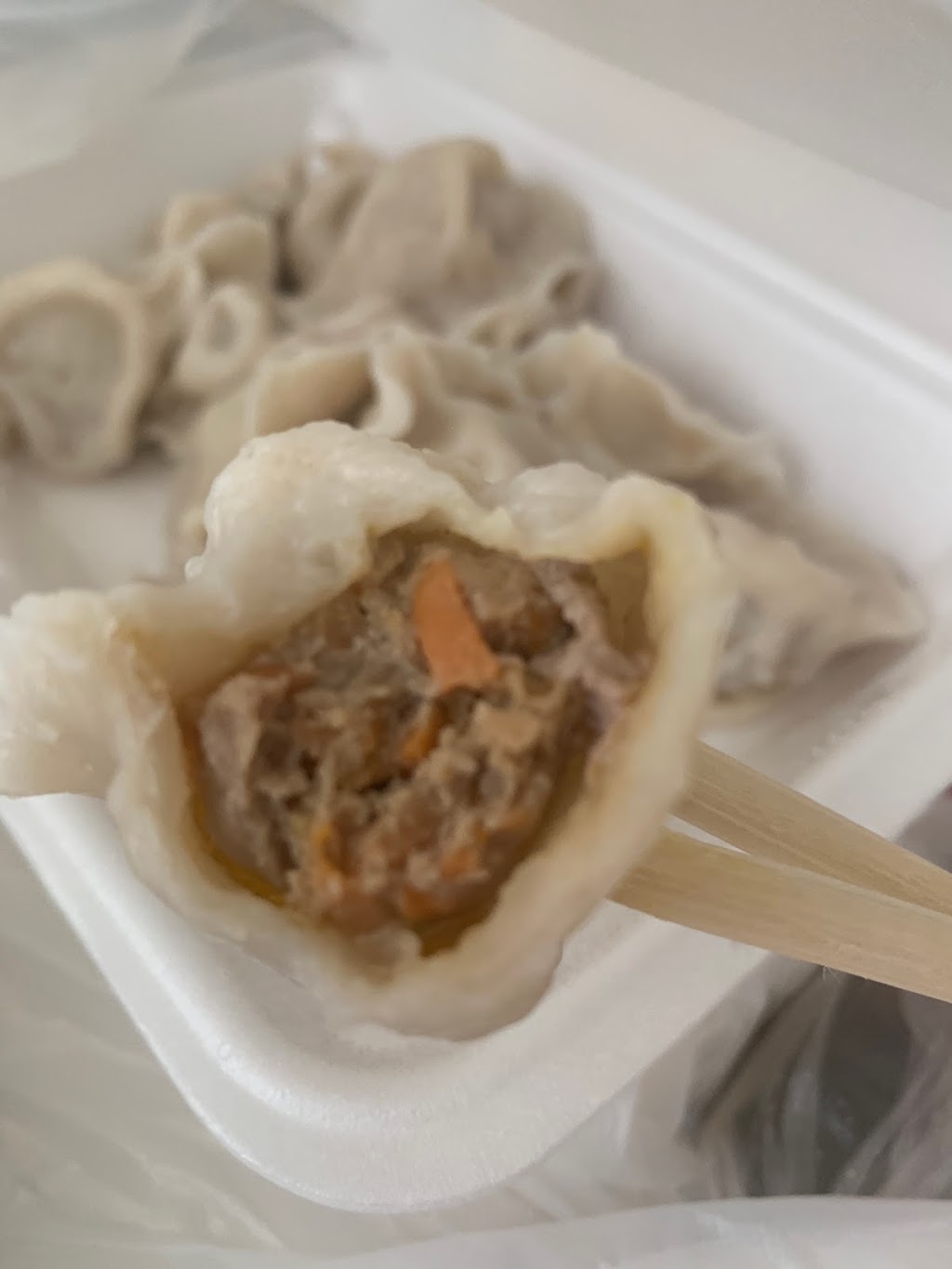 Four Seasons Dumpling | restaurant | 3205 S Halsted St, Chicago, IL 60608, USA | 3122650568 OR +1 312-265-0568