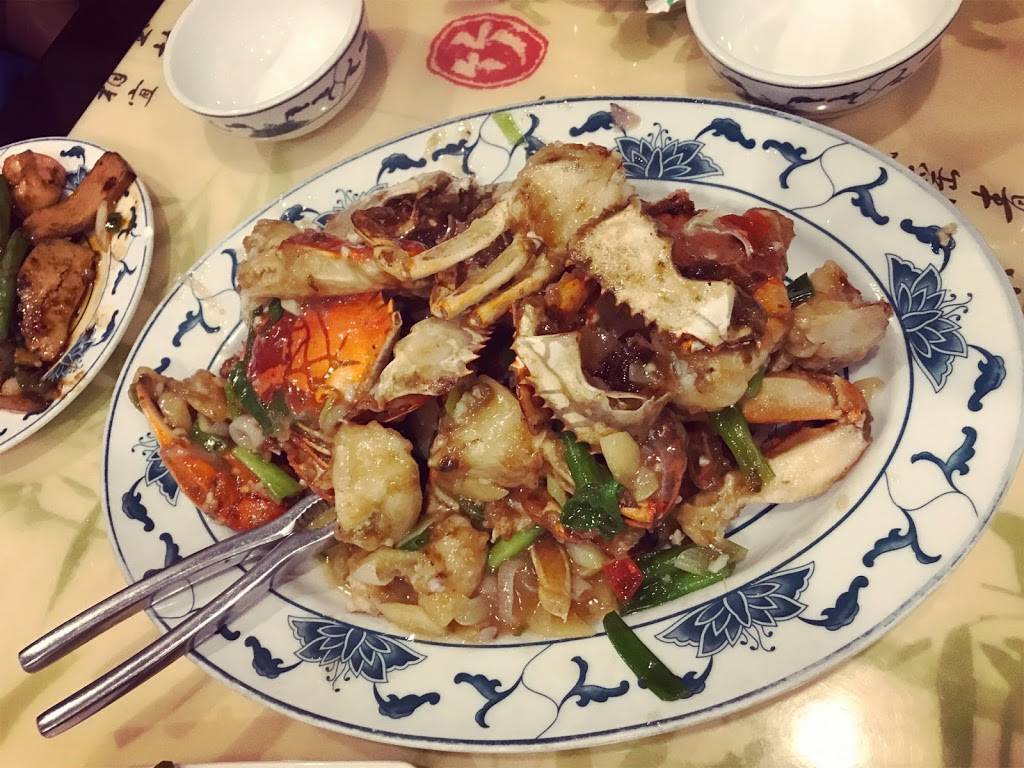 Dragon City | meal takeaway | 6706 Stirling Rd, Hollywood, FL 33024, USA | 9548948393 OR +1 954-894-8393