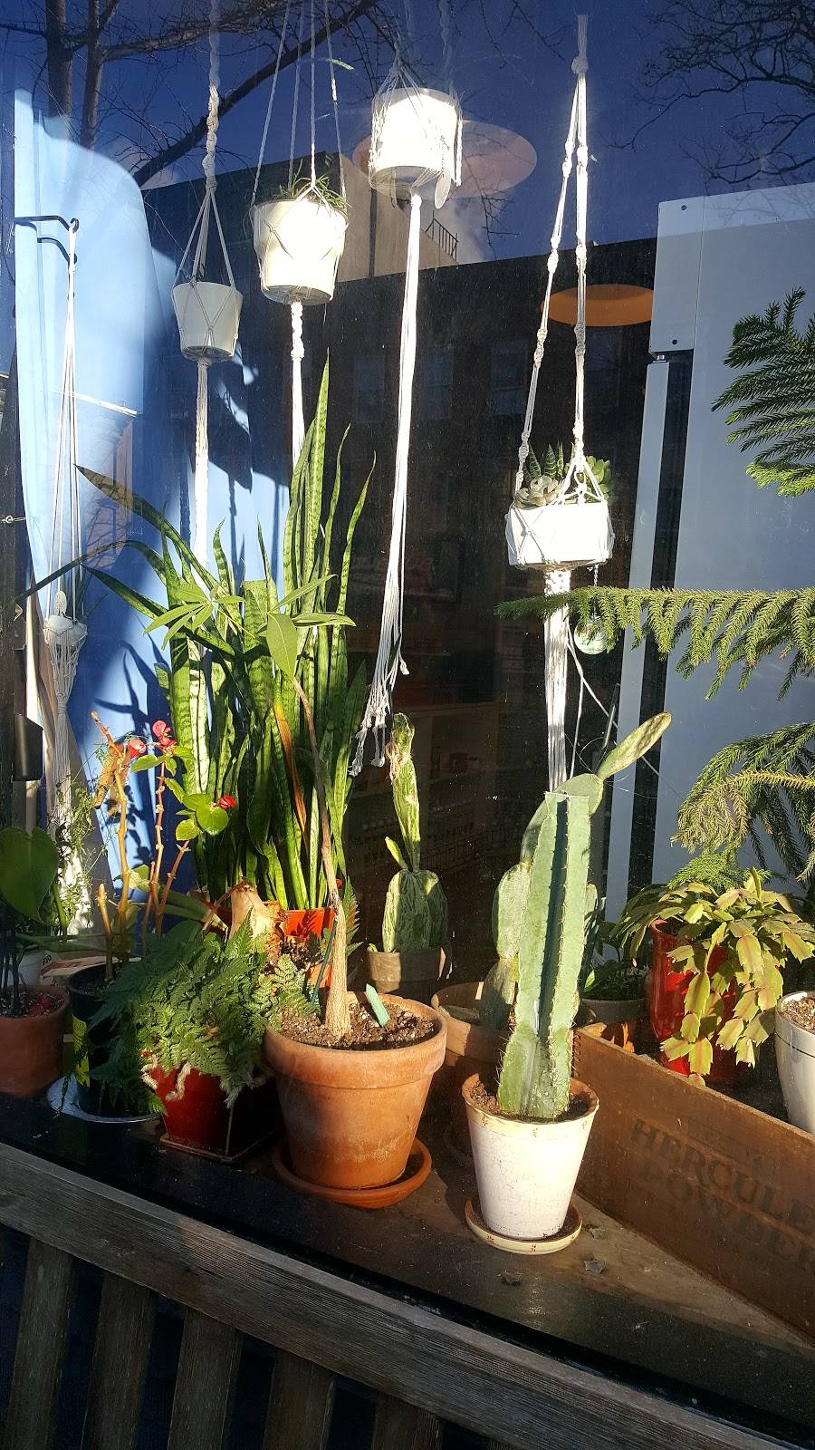 Court Street Grocers | restaurant | 485 Court St, Brooklyn, NY 11231, USA | 7187227229 OR +1 718-722-7229