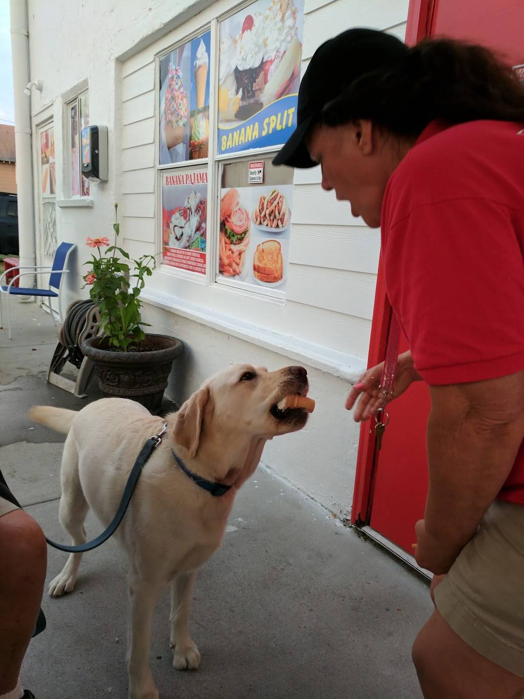 Mr Gs Ice Cream & Grill | restaurant | 310 17th Ave S, North Myrtle Beach, SC 29582, USA | 8432723766 OR +1 843-272-3766