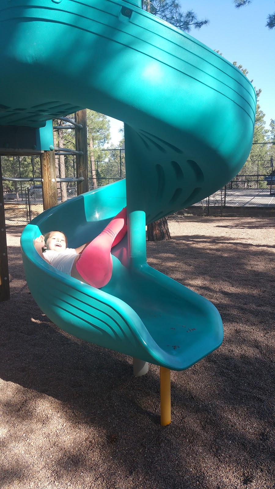 Torreon Golf Club | restaurant | 651 S Torreon Loop, Show Low, AZ 85901, USA | 9285328000 OR +1 928-532-8000