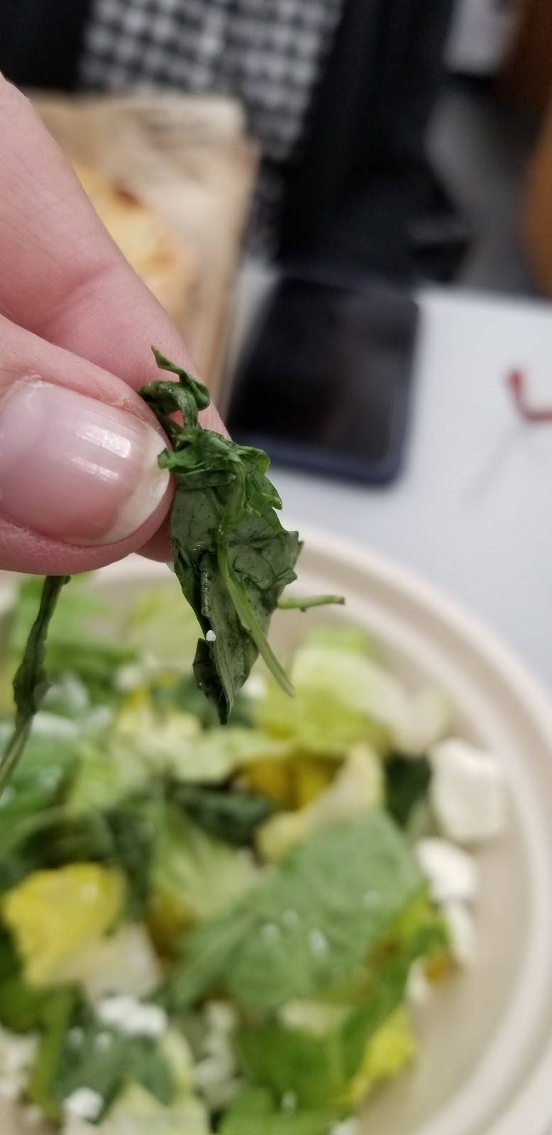 Urban Bricks | restaurant | 7170 W 159th St, Orland Park, IL 60462, USA | 7084384646 OR +1 708-438-4646