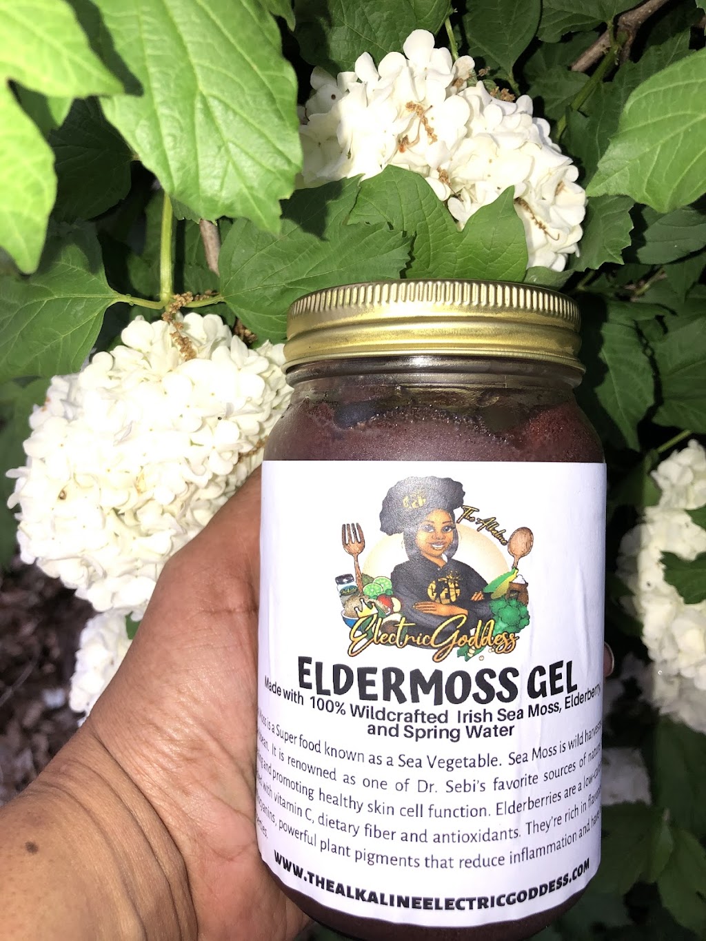 The Alkaline Electric Goddess LLC | restaurant | 1021 N Pennsylvania St, Indianapolis, IN 46204, USA | 3176624498 OR +1 317-662-4498