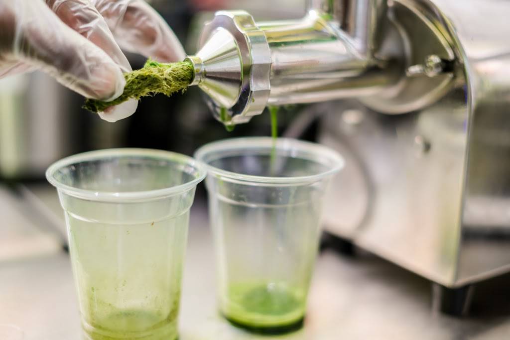 Twisted Rootz | restaurant | 3531, 7905 Flatlands Ave, Brooklyn, NY 11236, USA | 3476737537 OR +1 347-673-7537