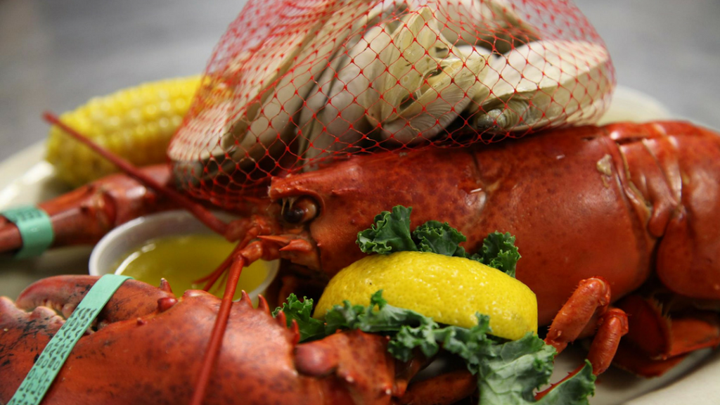 Moby Dicks Restaurant | restaurant | 3225 US-6, Wellfleet, MA 02667, USA | 5083499795 OR +1 508-349-9795