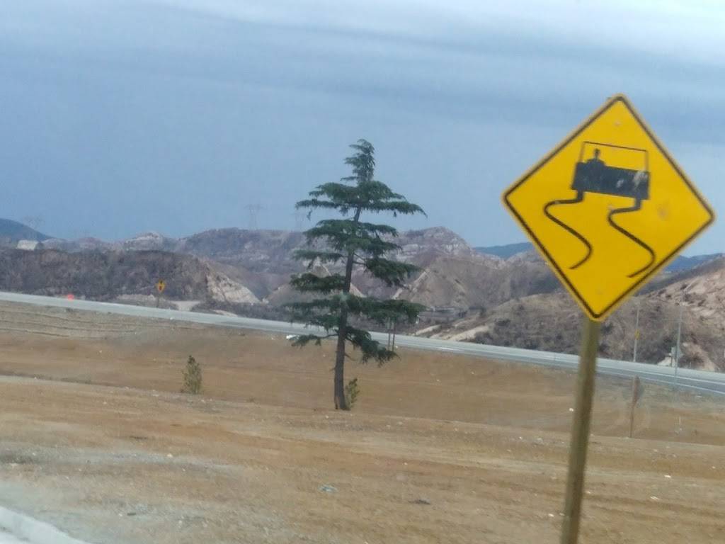 Subway | restaurant | 14949 Cajon Blvd, Phelan, CA 92371, USA | 7602495947 OR +1 760-249-5947