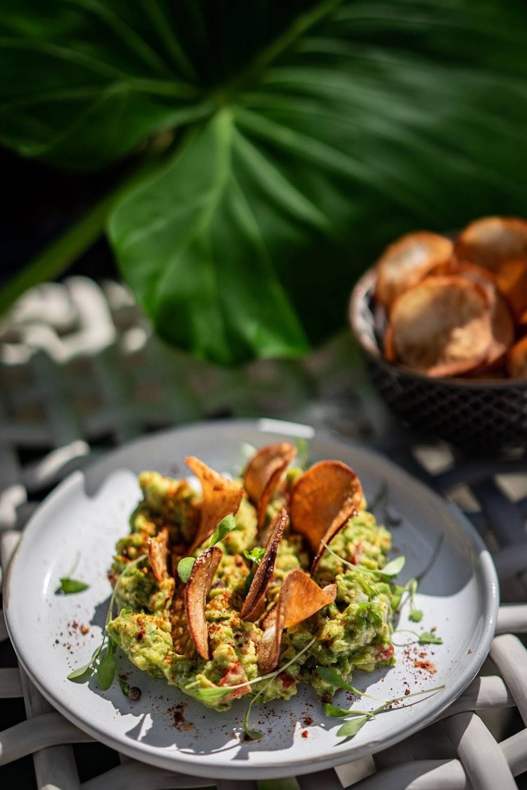 Pretty Swell | restaurant | 321 Collins Ave, Miami Beach, FL 33139, USA | 8664667534 OR +1 866-466-7534