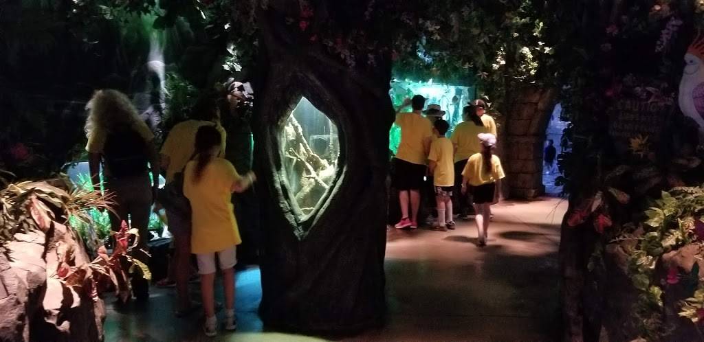 The Aquarium | restaurant | Gulf Fwy, Houston, TX 77002, USA | 2813645341 OR +1 281-364-5341