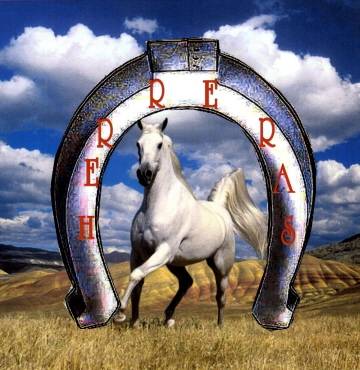 Herreras Mexican Restaurant #2 | restaurant | 1701 HWY 90 West, Ste. B, Sealy, TX 77474, USA | 9796279266 OR +1 979-627-9266