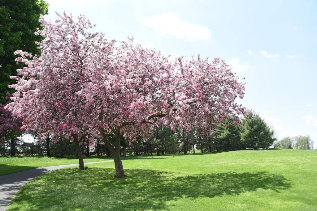 Foxchase Golf Club | restaurant | 300 Stevens Rd, Stevens, PA 17578, USA | 7173363673 OR +1 717-336-3673