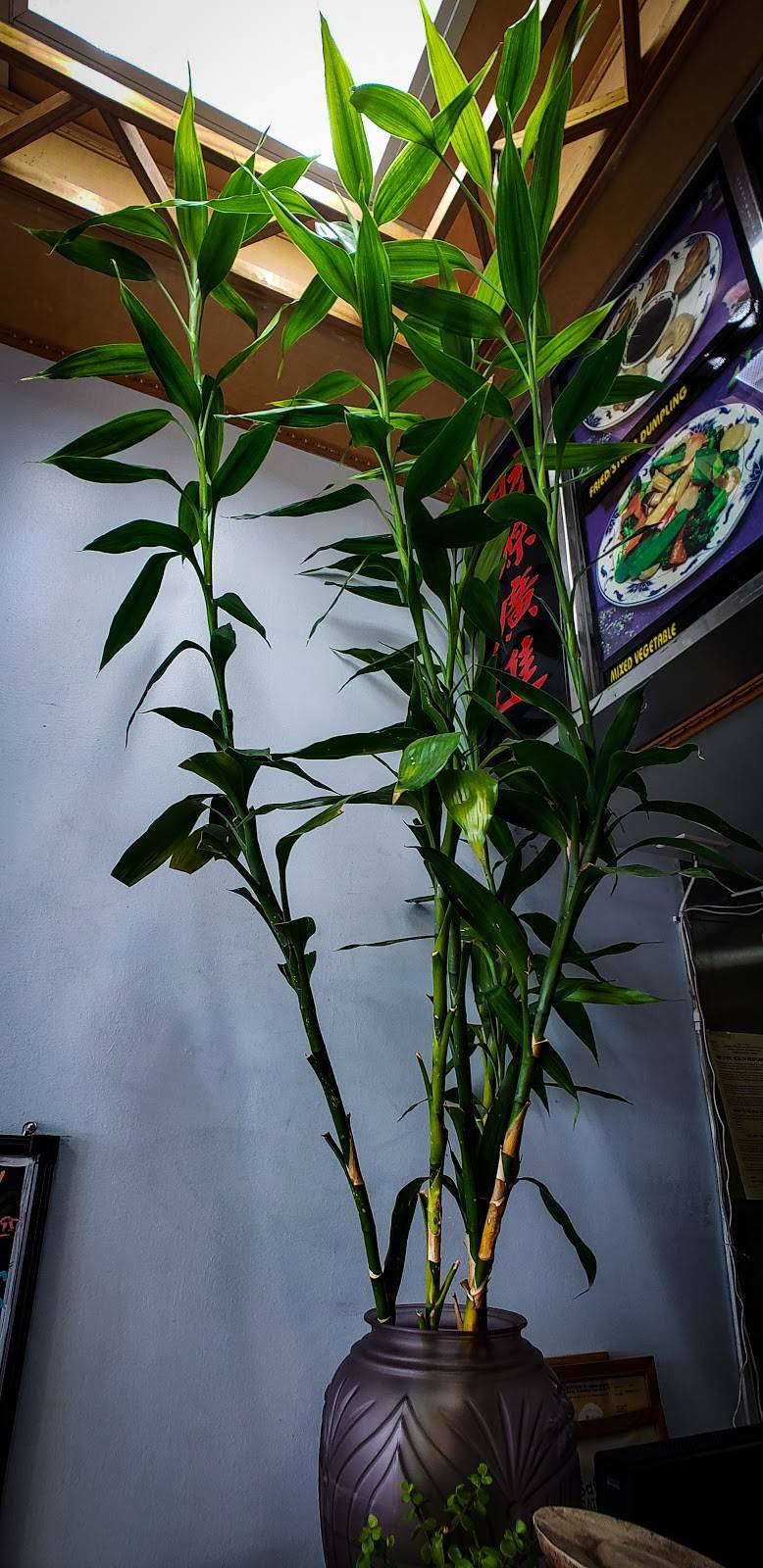 Yummy Wok | restaurant | 6018, 1050 S Ponce De Leon Blvd, St. Augustine, FL 32084, USA | 9048261558 OR +1 904-826-1558